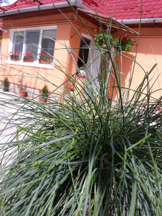 Casa Mara Villa Turda Dış mekan fotoğraf